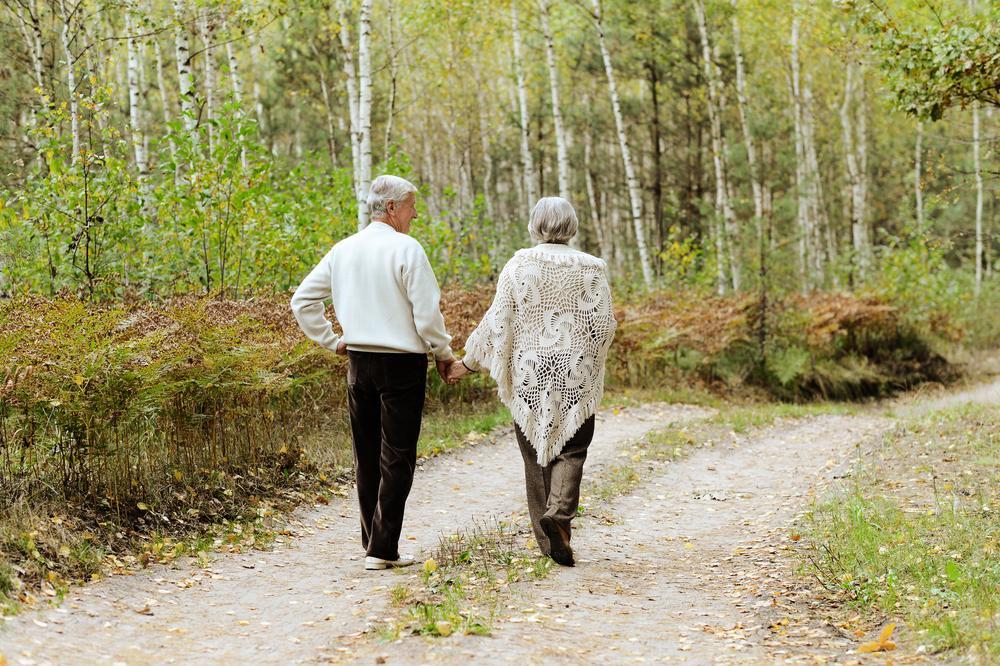 Verblijfpark De Brem Lille Ngoại thất bức ảnh